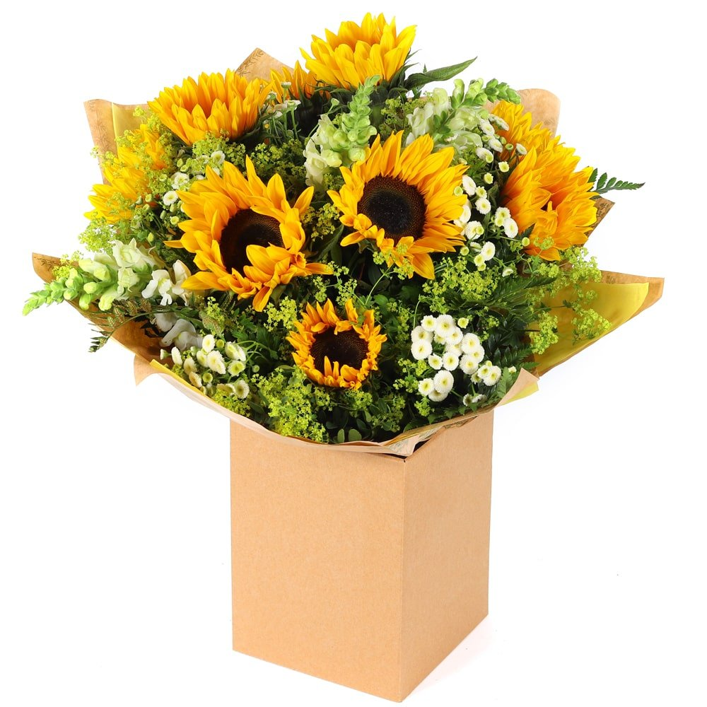 The Sunflower