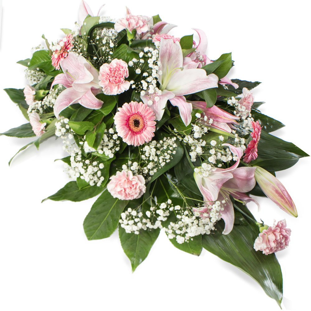 Spray Pinks